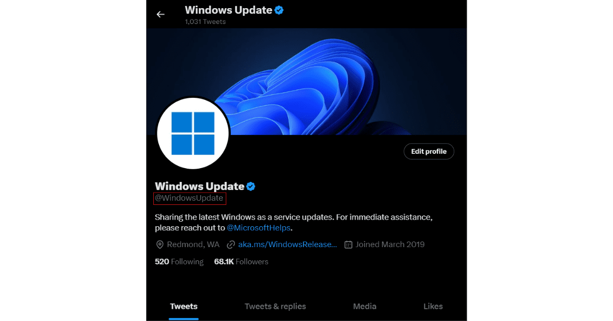 windows update twitter