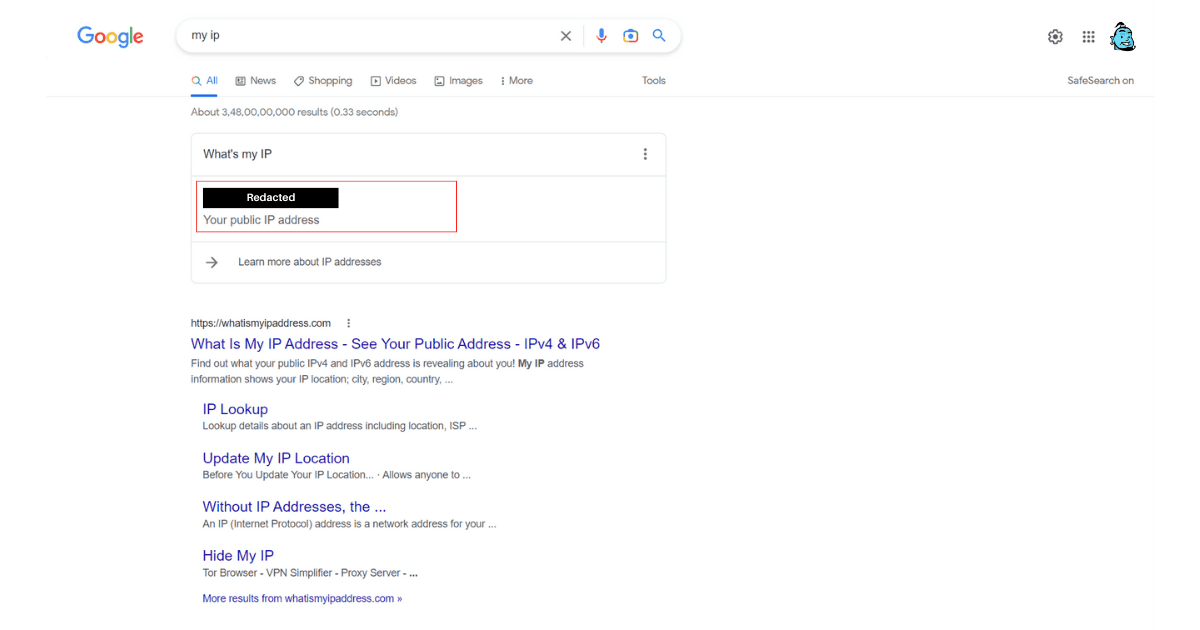 Snapshot of Google my IP search