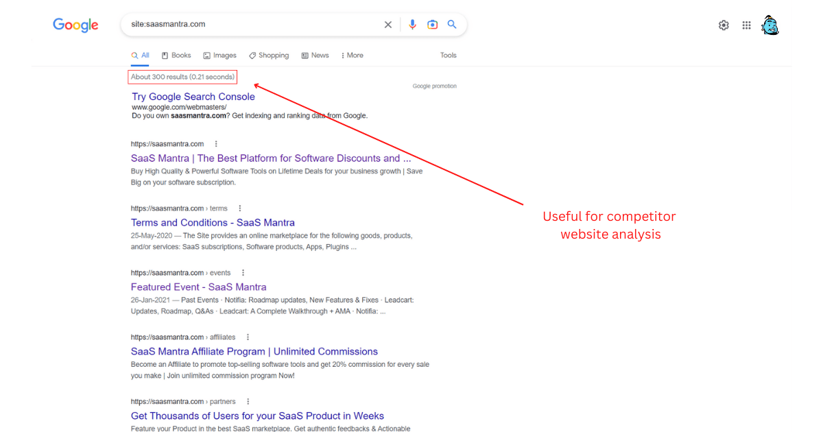 Snapshot of Google site search